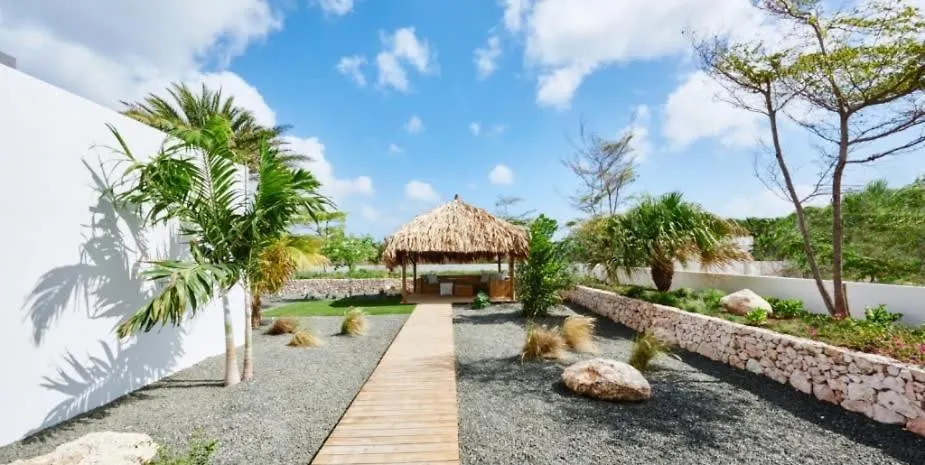 The Pearl Of Jan Thiel Villa With Private Pool Gym And Game Room Willemstad